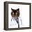 Funny Fluffy Cat Doctor in a Robe and Glasses. Collage-Sergey Nivens-Framed Premier Image Canvas