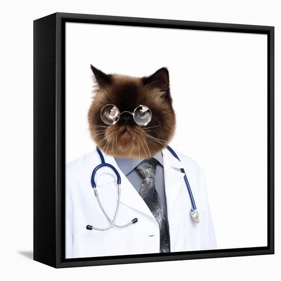 Funny Fluffy Cat Doctor in a Robe and Glasses. Collage-Sergey Nivens-Framed Premier Image Canvas