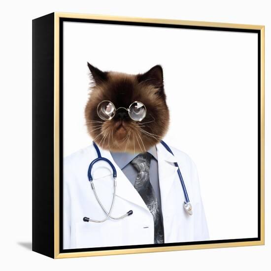 Funny Fluffy Cat Doctor in a Robe and Glasses. Collage-Sergey Nivens-Framed Premier Image Canvas