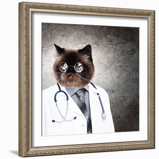 Funny Fluffy Cat Doctor In A Robe And Glasses. Collage-Sergey Nivens-Framed Photographic Print