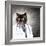 Funny Fluffy Cat Doctor In A Robe And Glasses. Collage-Sergey Nivens-Framed Photographic Print