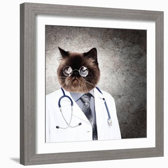 Funny Fluffy Cat Doctor In A Robe And Glasses. Collage-Sergey Nivens-Framed Photographic Print