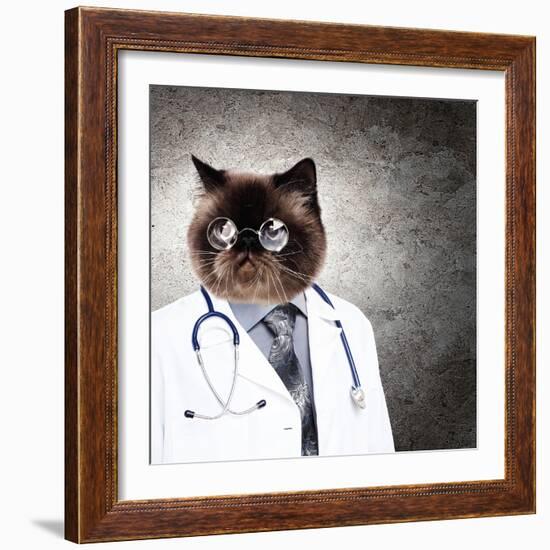 Funny Fluffy Cat Doctor In A Robe And Glasses. Collage-Sergey Nivens-Framed Photographic Print