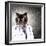 Funny Fluffy Cat Doctor In A Robe And Glasses. Collage-Sergey Nivens-Framed Photographic Print