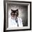 Funny Fluffy Cat Doctor In A Robe And Glasses. Collage-Sergey Nivens-Framed Photographic Print