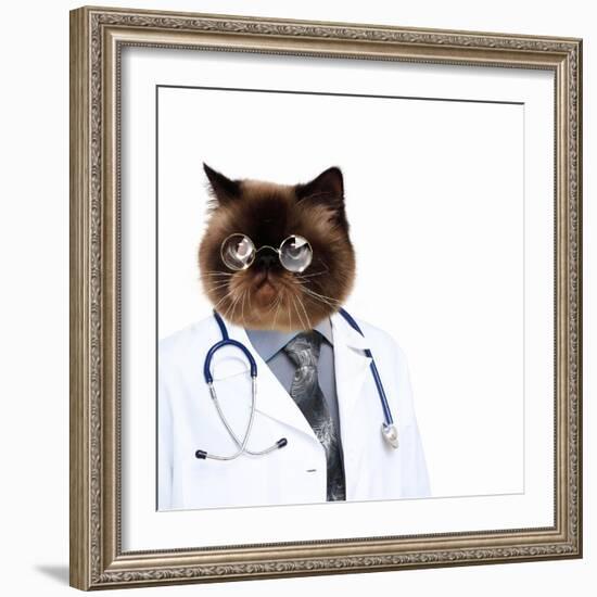 Funny Fluffy Cat Doctor in a Robe and Glasses. Collage-Sergey Nivens-Framed Photographic Print