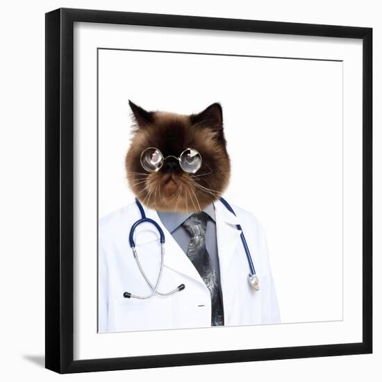 Funny Fluffy Cat Doctor in a Robe and Glasses. Collage-Sergey Nivens-Framed Photographic Print