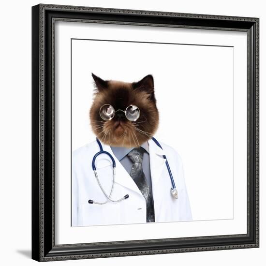 Funny Fluffy Cat Doctor in a Robe and Glasses. Collage-Sergey Nivens-Framed Photographic Print