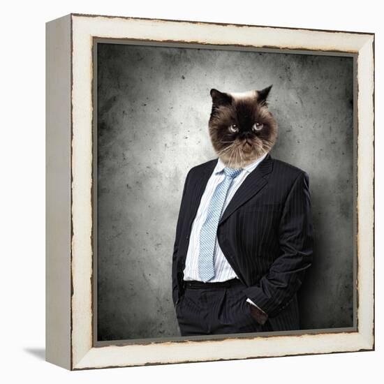 Funny Fluffy Cat In A Business Suit Businessman. Collage-Sergey Nivens-Framed Premier Image Canvas