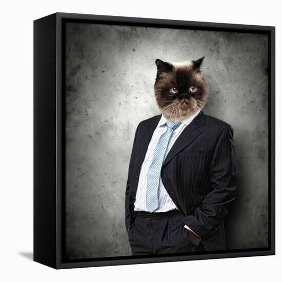 Funny Fluffy Cat In A Business Suit Businessman. Collage-Sergey Nivens-Framed Premier Image Canvas