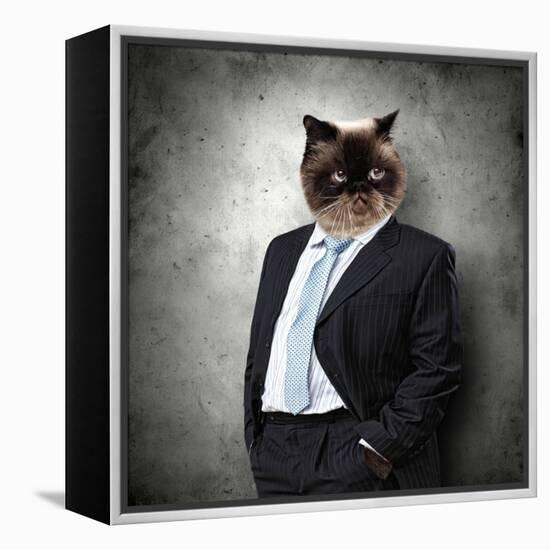 Funny Fluffy Cat In A Business Suit Businessman. Collage-Sergey Nivens-Framed Premier Image Canvas