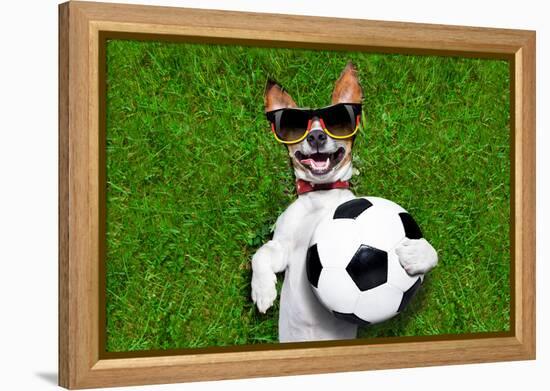 Funny German Soccer Dog-Javier Brosch-Framed Premier Image Canvas