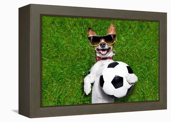 Funny German Soccer Dog-Javier Brosch-Framed Premier Image Canvas