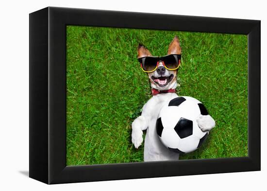 Funny German Soccer Dog-Javier Brosch-Framed Premier Image Canvas