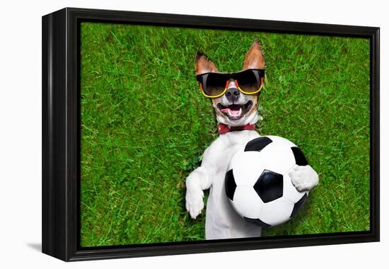 Funny German Soccer Dog-Javier Brosch-Framed Premier Image Canvas