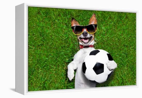 Funny German Soccer Dog-Javier Brosch-Framed Premier Image Canvas