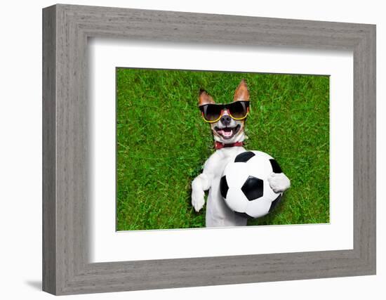 Funny German Soccer Dog-Javier Brosch-Framed Photographic Print