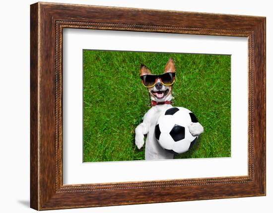 Funny German Soccer Dog-Javier Brosch-Framed Photographic Print