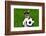 Funny German Soccer Dog-Javier Brosch-Framed Photographic Print