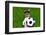 Funny German Soccer Dog-Javier Brosch-Framed Photographic Print