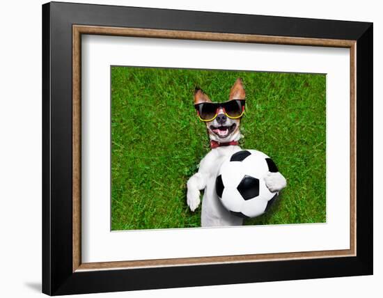 Funny German Soccer Dog-Javier Brosch-Framed Photographic Print