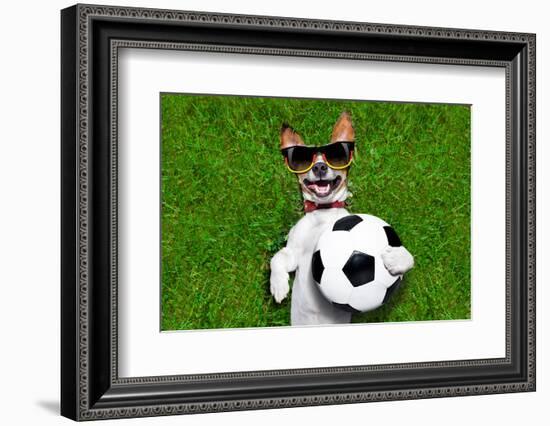 Funny German Soccer Dog-Javier Brosch-Framed Photographic Print
