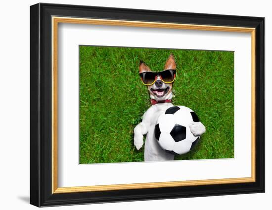 Funny German Soccer Dog-Javier Brosch-Framed Photographic Print