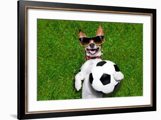 Funny German Soccer Dog-Javier Brosch-Framed Photographic Print