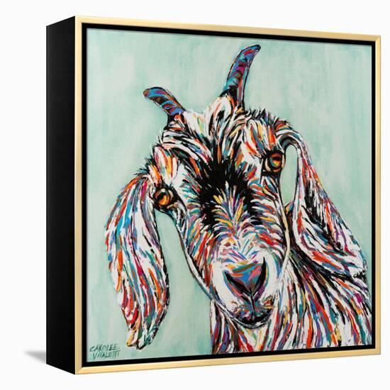 Funny Goat II-Carolee Vitaletti-Framed Stretched Canvas