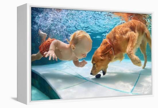 Funny Little Child Play with Fun and Train Golden Labrador Retriever Puppy in Swimming Pool, Jump A-Tropical studio-Framed Premier Image Canvas