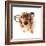 Funny Little Dachshund Wearing Glasses Distorted By Wide Angle Closeup. Focus On The Eyes-Hannamariah-Framed Photographic Print