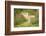 Funny Red Cat Flying in the Air in Autumn-Grigorita Ko-Framed Photographic Print