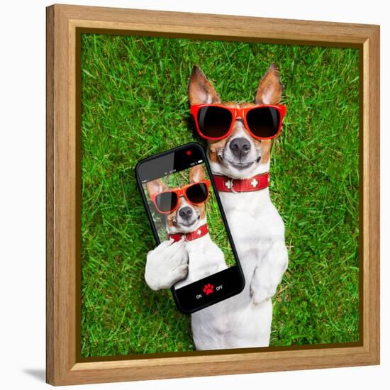 Funny Selfie Dog-Javier Brosch-Framed Premier Image Canvas