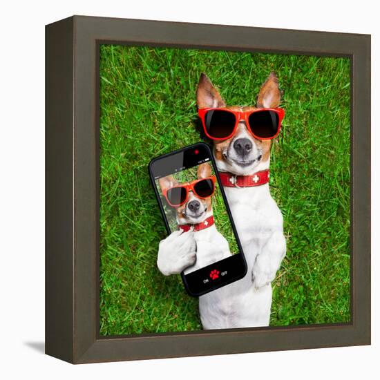 Funny Selfie Dog-Javier Brosch-Framed Premier Image Canvas