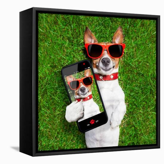 Funny Selfie Dog-Javier Brosch-Framed Premier Image Canvas