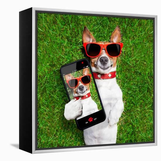 Funny Selfie Dog-Javier Brosch-Framed Premier Image Canvas