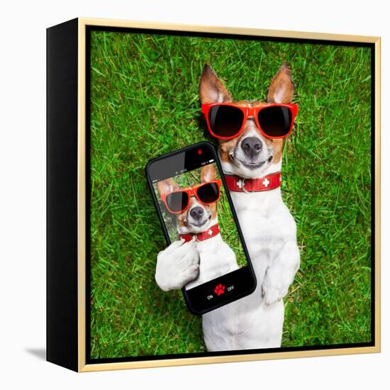 Funny Selfie Dog-Javier Brosch-Framed Premier Image Canvas