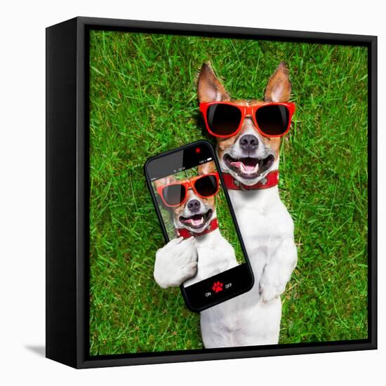 Funny Selfie Dog-Javier Brosch-Framed Premier Image Canvas