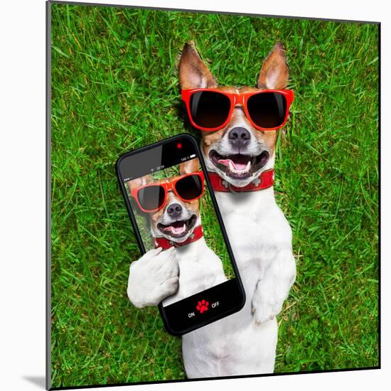 Funny Selfie Dog-Javier Brosch-Mounted Photographic Print