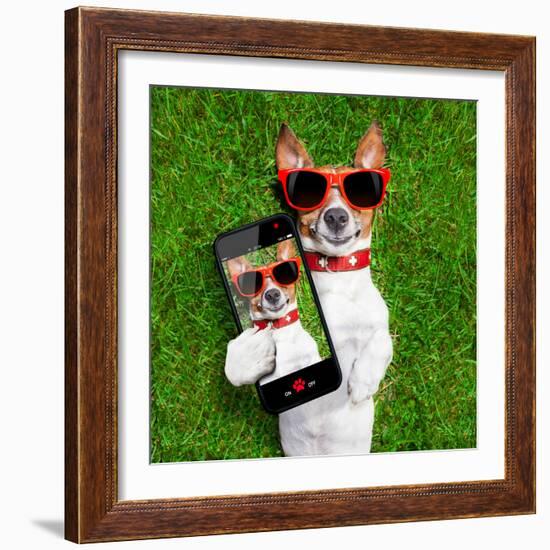 Funny Selfie Dog-Javier Brosch-Framed Photographic Print