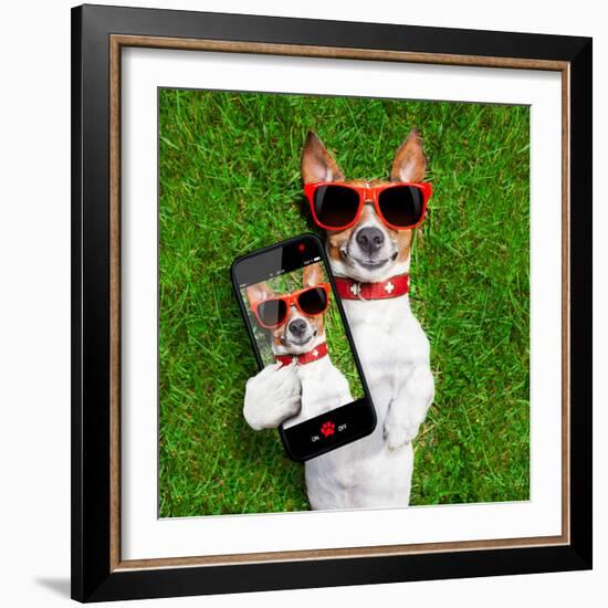 Funny Selfie Dog-Javier Brosch-Framed Photographic Print