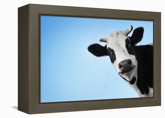 Funny Smiling Black And White Cow On Blue Clear Background-Dudarev Mikhail-Framed Premier Image Canvas