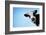 Funny Smiling Black And White Cow On Blue Clear Background-Dudarev Mikhail-Framed Photographic Print