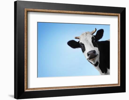 Funny Smiling Black And White Cow On Blue Clear Background-Dudarev Mikhail-Framed Photographic Print