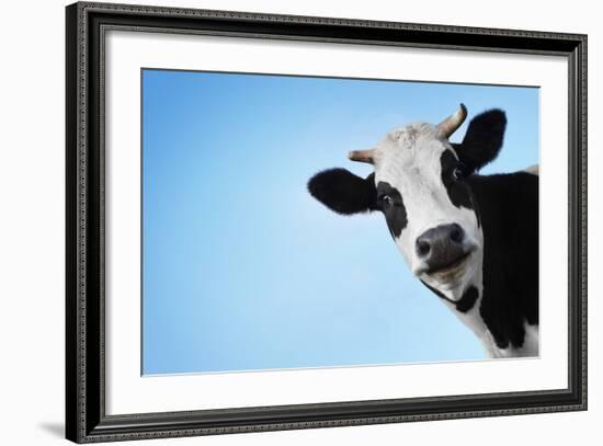 Funny Smiling Black And White Cow On Blue Clear Background-Dudarev Mikhail-Framed Photographic Print