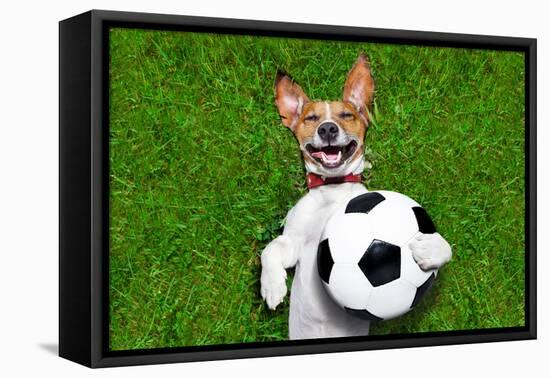 Funny Soccer Dog-Javier Brosch-Framed Premier Image Canvas