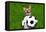 Funny Soccer Dog-Javier Brosch-Framed Premier Image Canvas