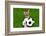 Funny Soccer Dog-Javier Brosch-Framed Photographic Print