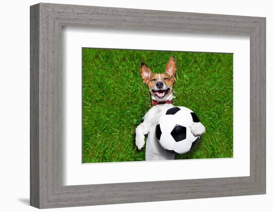 Funny Soccer Dog-Javier Brosch-Framed Photographic Print
