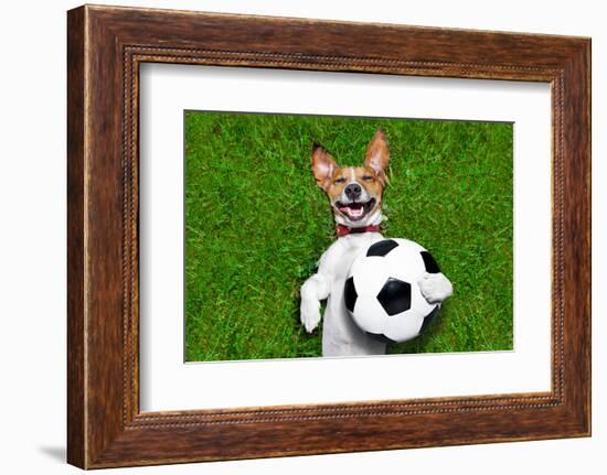 Funny Soccer Dog-Javier Brosch-Framed Photographic Print